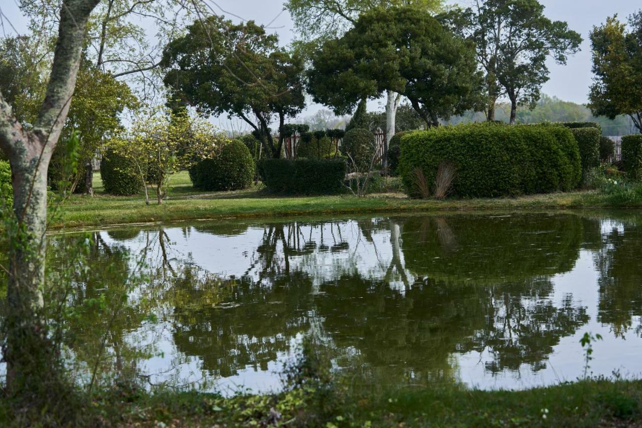 Chasse-Spleen Les Chambres Moulis-en-Médoc Buitenkant foto
